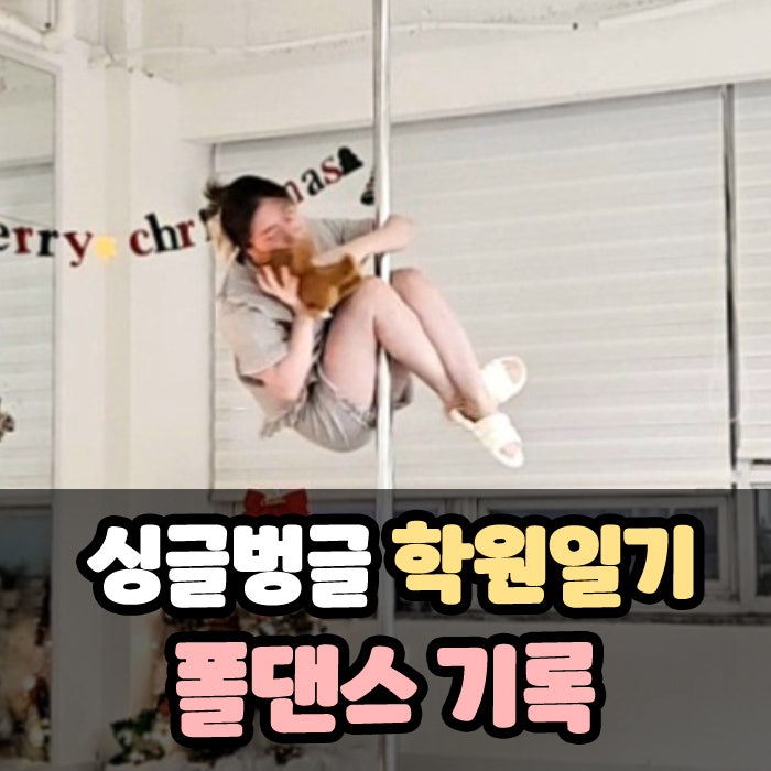 용인 기흥 오하운 폴댄스 학원 - 연말 컨셉 특강 일기