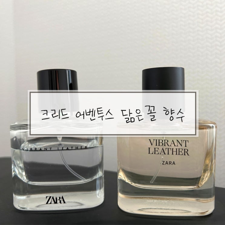  크리드 어벤투스 자라 바이브런트 레더 가성비 남자향수