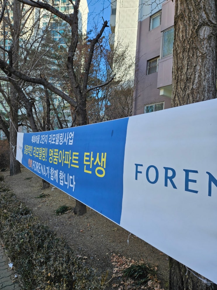  야탑 아파트 단지 임장 후기 : 매화마을 공무원 2단지, 장미마을 8단지 현대, 장미마을 1단지 동부코오롱