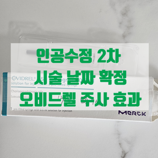  인공수정 2차 시술 준비 오비드렐 리퀴드 주사 효과와 부작용