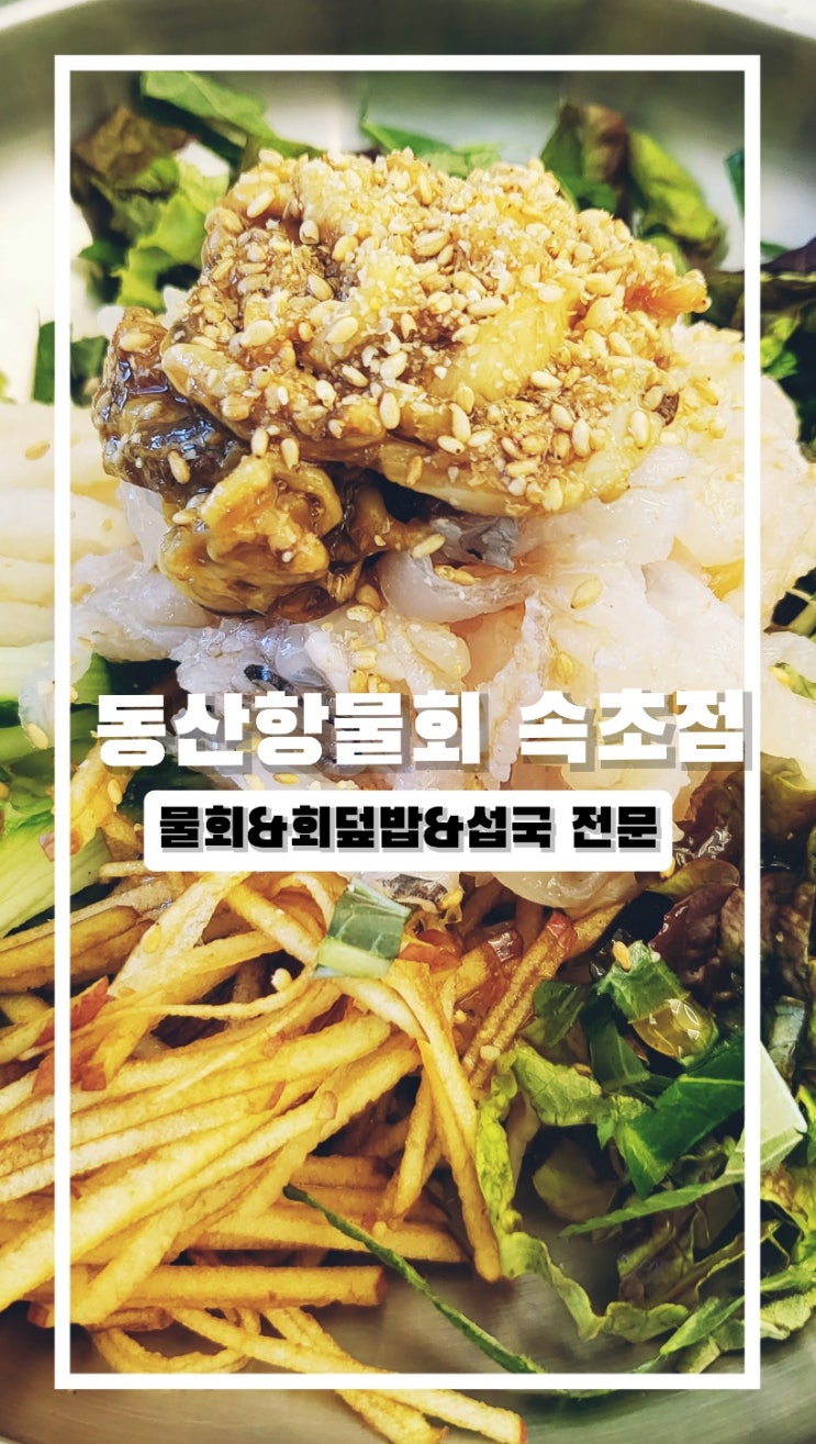  물회도 맛있지만 섭국도 맛있는 동산항물회 속초점
