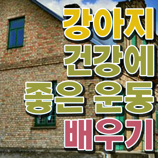  반려견운동지도사 자격증 1급 준비방법 Check Check !