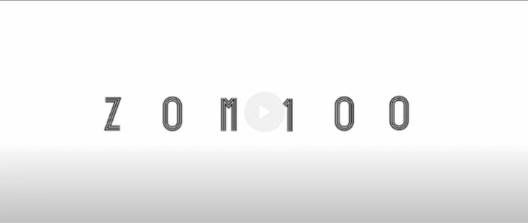  좀비가 되기전에 하고 싶은 100가지 <좀 100>