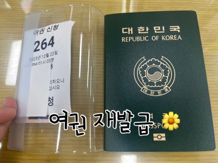  원주시청 방문해서 "여권 재발급" 받는 방법 후기