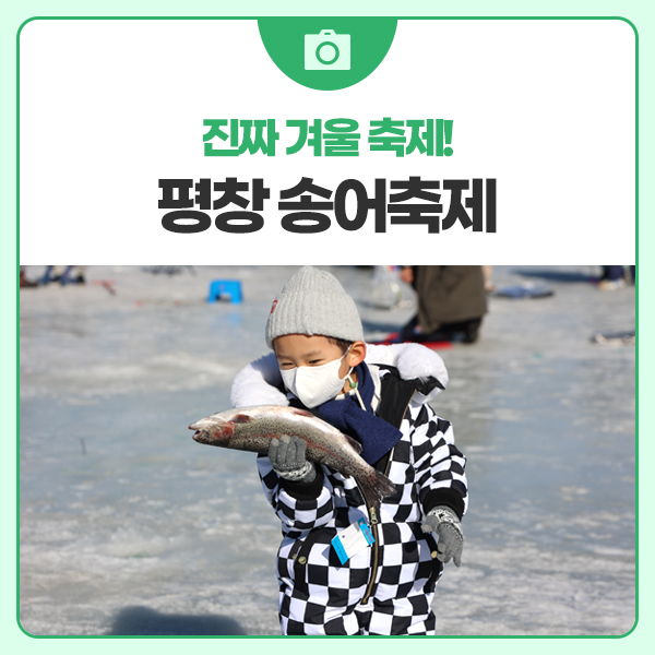 강원도 겨울 여행으로 <b>평창 송어축제</b> 즐기기