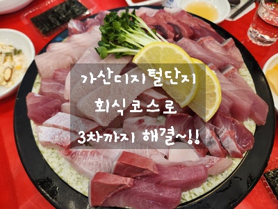  [가산디지털단지 회] 망우리 오징어집에서 대방어 먹고 한라 목장에서 냉동 삼겹살에 깜닭 치킨으로 마무리.... 회식인가? 너무 많이 먹었는걸~