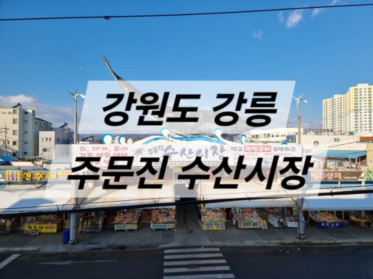  [여행] 강릉, 아이와 함께 주문진 수산시장 놀러 가기