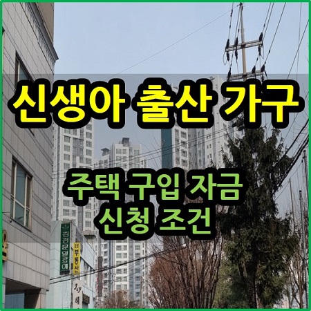 신생아 출산 가구 주택 구입 자금 신청 조건