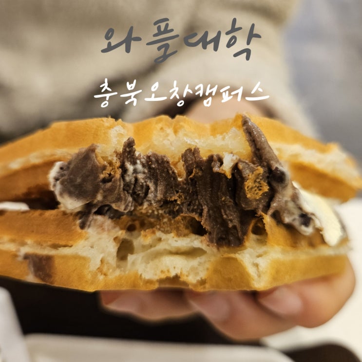  오창와플 오창카페 와플대학 오창