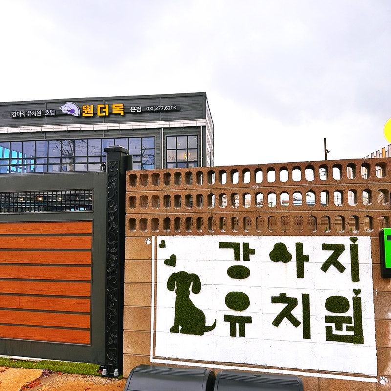 사진 7