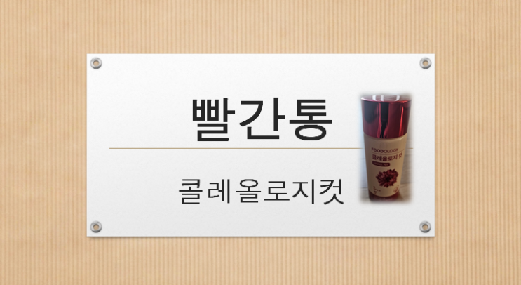  콜레올로지 내돈내산(다이어트케어)