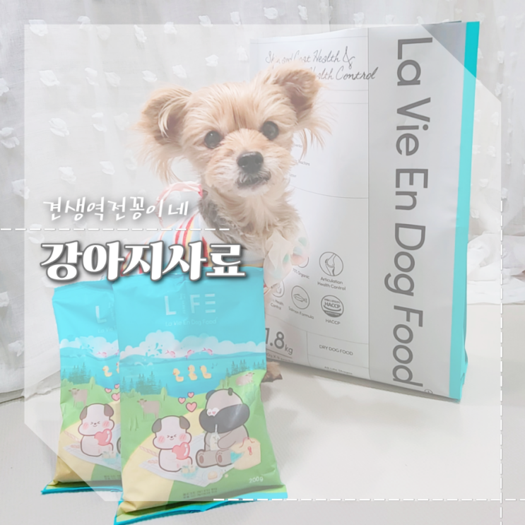  새끼강아지 사료 급여량 계산 방법 소중대형견 하루 사료양
