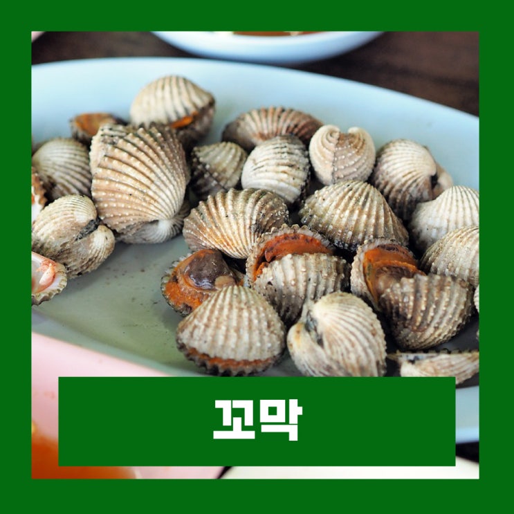  꼬막 효능 부작용 단백질 영양성분 칼로리 제철 꼬막 삶는법