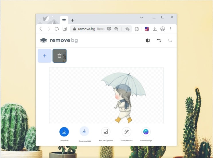 사진 배경 없애기 이미지 배경제거 리무브bg로 쉽게 지우기