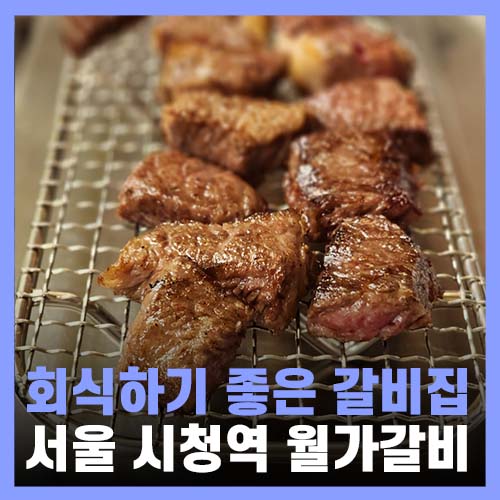  서울 시청 맛집 단체 회식하기 좋은 월가갈비