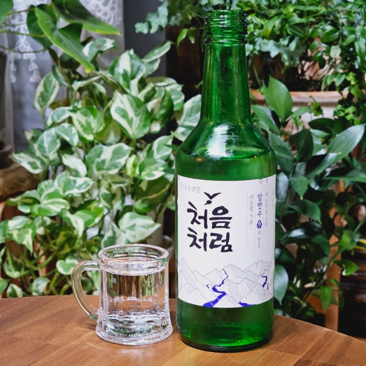  처음처럼 도수 소주 용량 편의점 가격 영양성분 칼로리 광고모델 정보