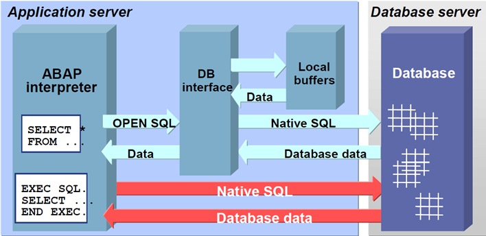 [SAP] S4HANA HANA DB 사용할 때 주의점 & 특징 ( vs ECC Oracle DB )