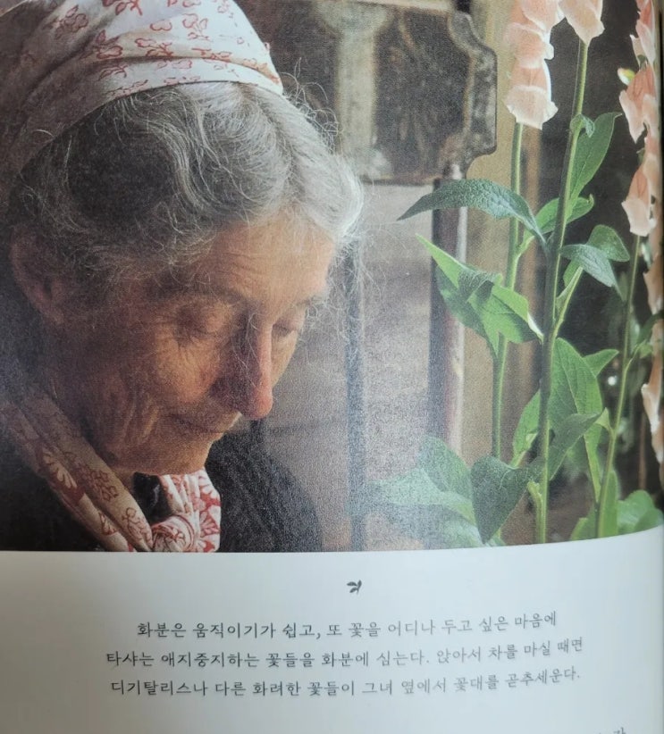  타샤의 정원 - 타샤튜더, 토바마틴 지음