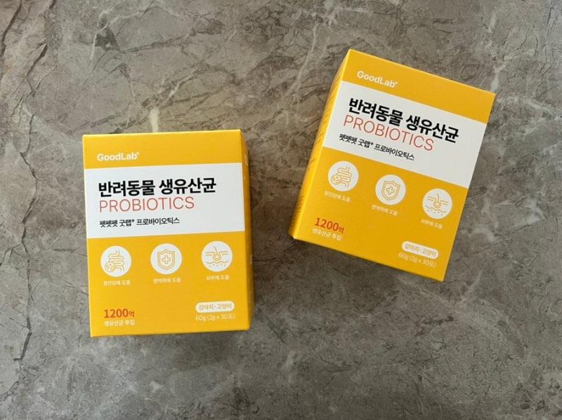 어렵다 강아지 유산균,,, 펫펫펫 유산균 한달 후기..?!
