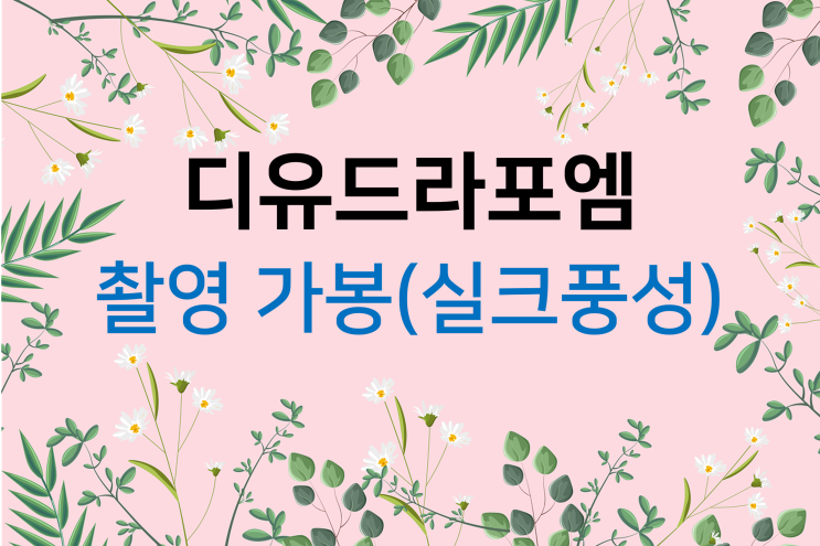  디유드라포엠 촬영가봉 (3) 풍성 드레스