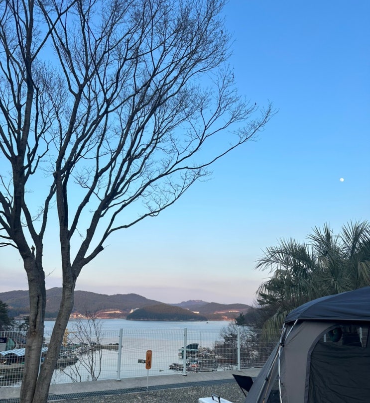  경남 창원 마산 신상 캠핑장 더숨포레스트 후기(+사이트 추천)