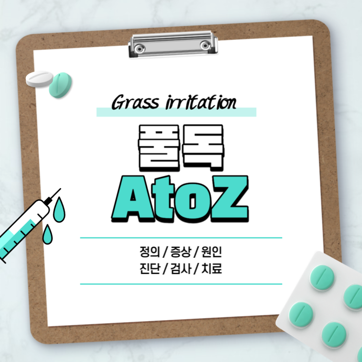  풀독 A to Z 【#증상 #치료 #약 #두드러기 #수포 #알레르기 #아기 #연고】