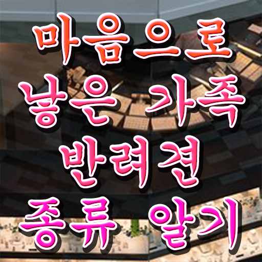  반려동물관리사 학원 온라인 취득 정보 제공 ~