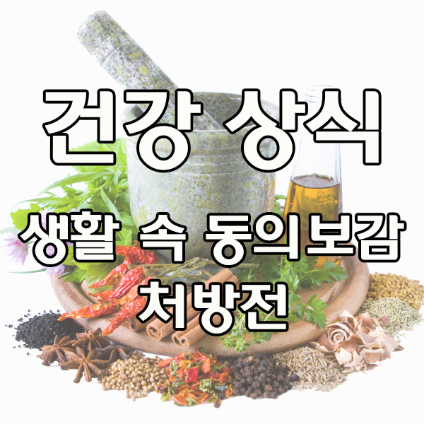  건강상식 - 생활속에 있는 동의보감