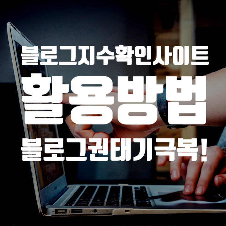  내 글이 노출이 안될 때, 블로그 지수 확인 사이트 이용 후기