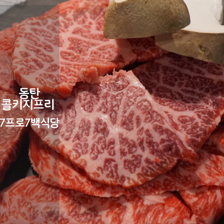  콜키지프리 동탄 소고기 고기집 육사시미 맛집 칠프로칠백식당
