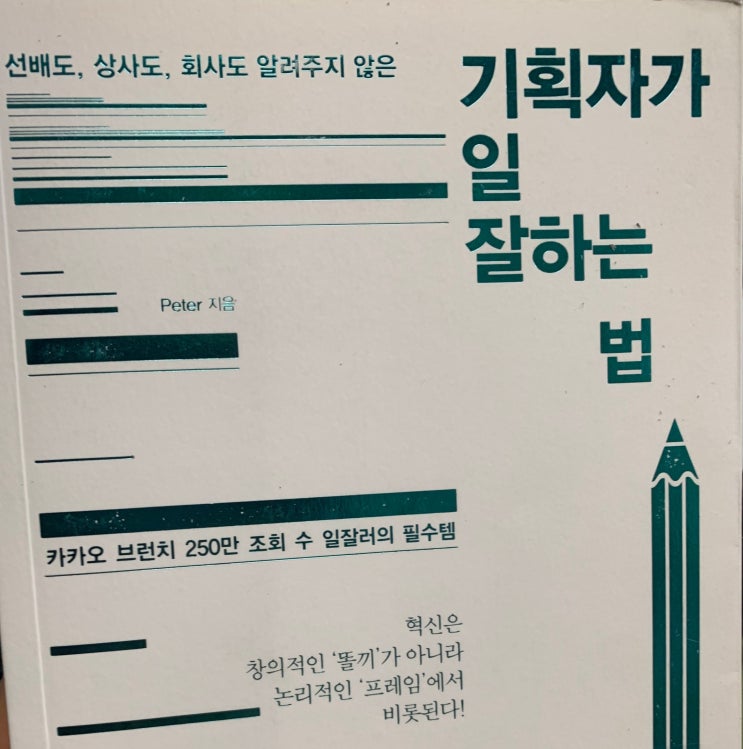  기획자가 일 잘하는 법 - 피터 - 사업가가 쓴 도서들을 아카이브 한 책
