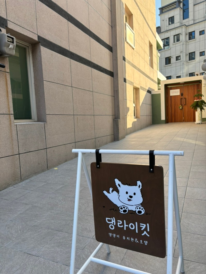 사진 6