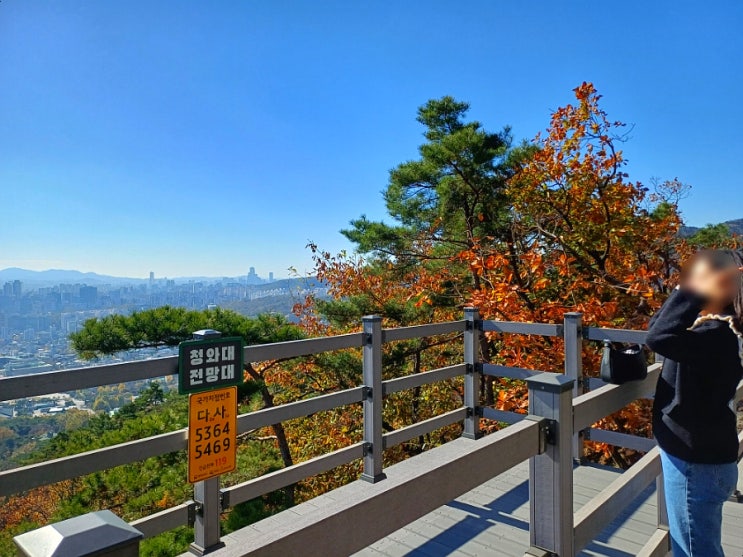  서울 산책하기좋은곳 청와대전망대 백악정 대통령 산책길