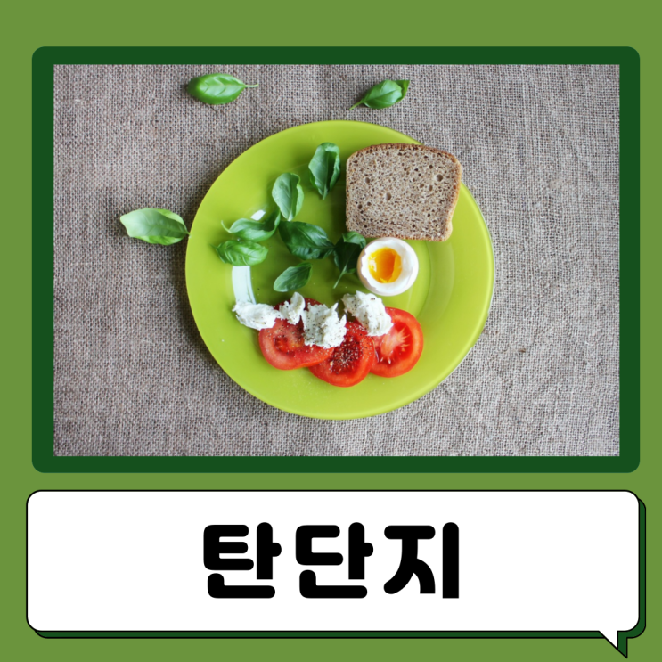  남자 여자 하루 탄수화물 단백질 지방 섭취량 1g당 칼로리 탄단지 비율