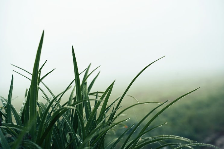  내일 그리고 오늘