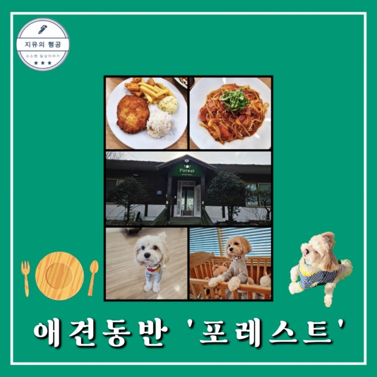  애견동반 식당 포레스트ㅣ가평 수목원 맛집 내돈내산 솔직후기