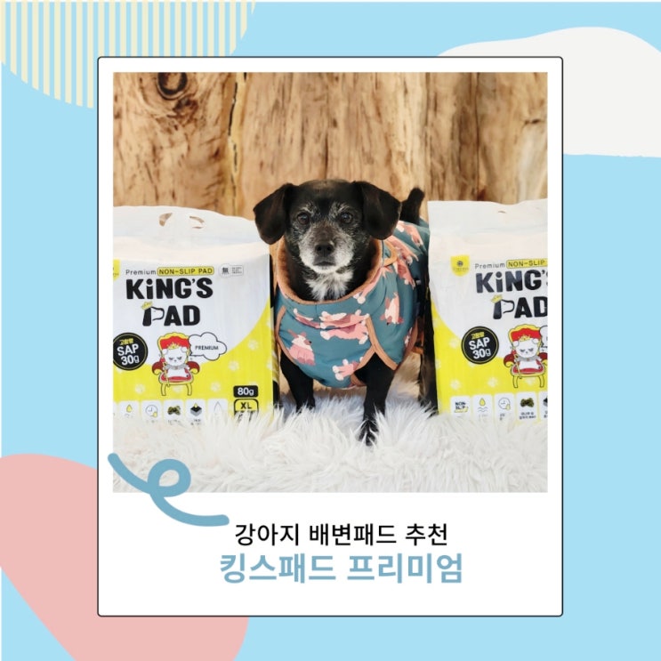강아지 배변패드 킹스 흡수력 좋은 애견패드 강아지 배변패드 킹스 흡수력 좋은 애견패드