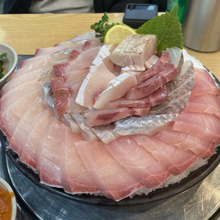  안산맛집 고잔동 방어맛집 윤선장어시장 횟집