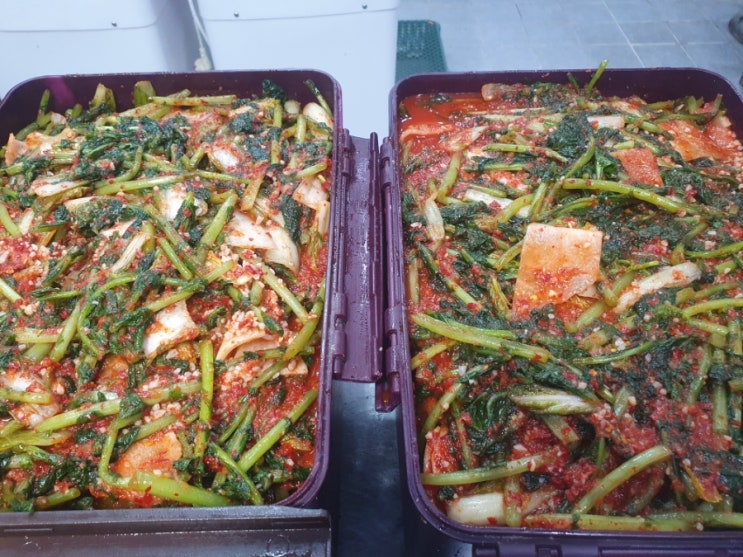  상계역 맛집 비빔국수와 열무국수에 사용할 열무김치 담으면서 고객님과 함께할 2024년을 열심히 준비했습니다.