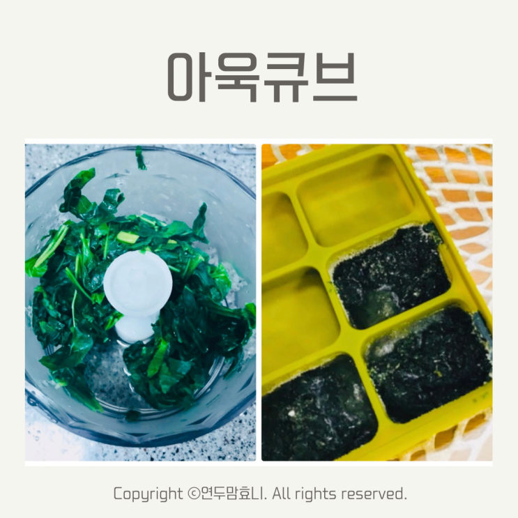 아욱큐브 아기 중기이유식 시기 야채큐브 손질하고 만들기 아욱큐브 아기 중기이유식 시기 야채큐브 손질하고 만들기