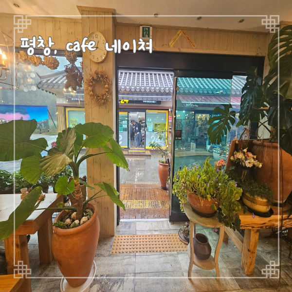  태교여행 평창 월정사 맛집 네이쳐 카페 오대산 먹거리마을