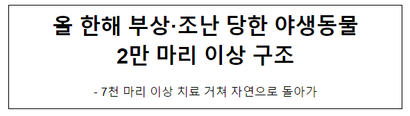올 한해 부상·조난 당한 야생동물 2만 마리 이상 구조 올 한해 부상·조난 당한 야생동물 2만 마리 이상 구조