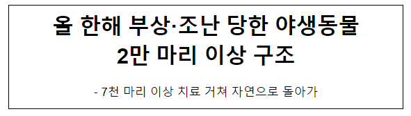 올 한해 부상·조난 당한 야생동물 2만 마리 이상 구조