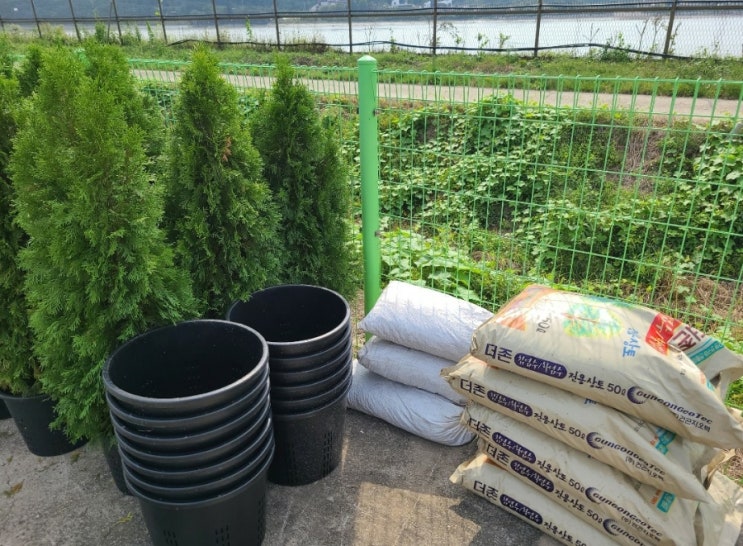  1월 주니퍼 가든 오픈 일정