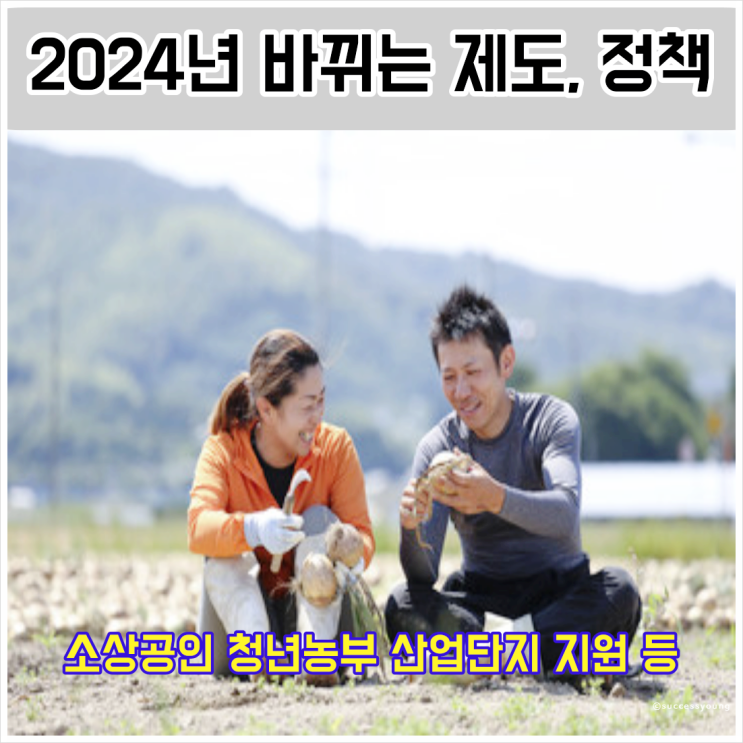  2024년 바뀌는 제도 정책 소상공인 자영업자 청년농부 벤처기업 지원 알아보기