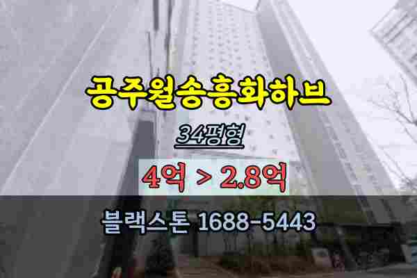  공주시아파트 경매 월송지구 흥화하브 34평 매매