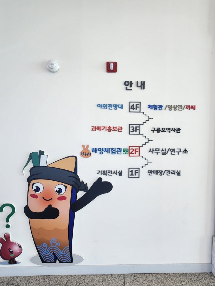  [포항 남구] 구룡포 과메기문화관 구경한번와보세요