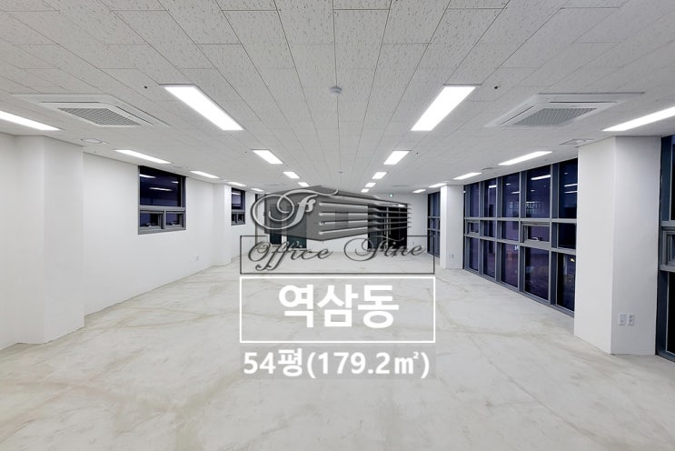 역삼동 대로변 양재역 신축 건물 채광 좋은 사무실 54평(179.2)