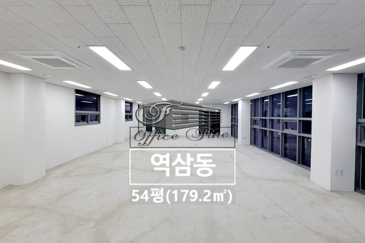  역삼동 대로변 양재역 신축 건물 채광 좋은 사무실 54평(179.2)