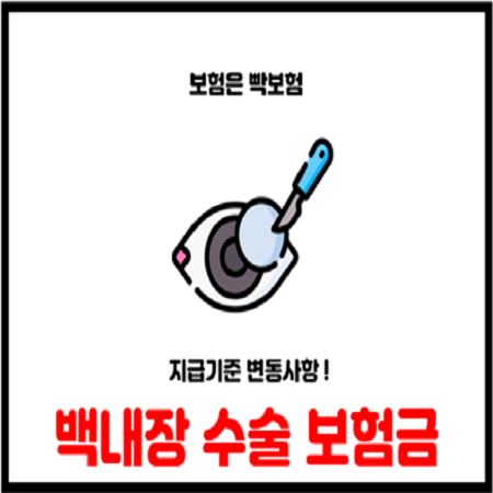  백내장 실손보험금 지급기준 정비 및 추진사항